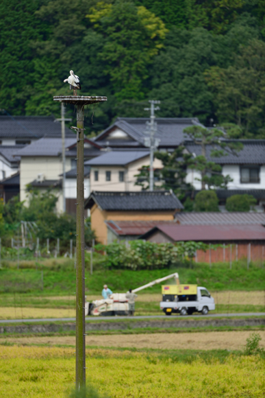 キーボードの左右キー〔← →〕で写真がスクロールします。